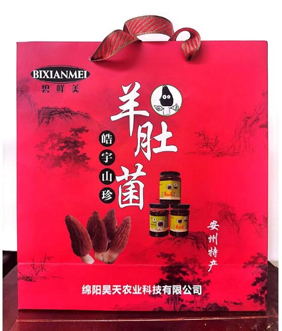 &#24320;&#20113;&#32593;&#39029;&#29256;