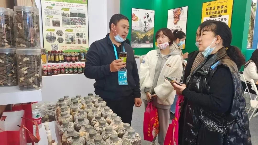 &#24320;&#20113;&#32593;&#39029;&#29256;