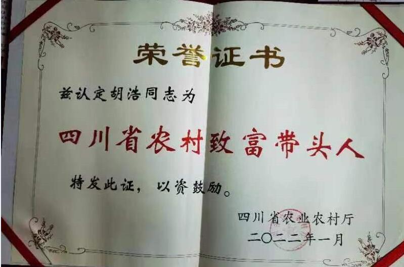 &#24320;&#20113;&#32593;&#39029;&#29256;