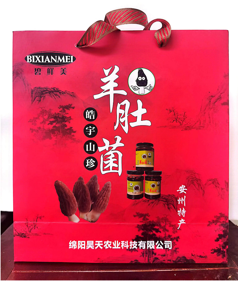 &#24320;&#20113;&#32593;&#39029;&#29256;